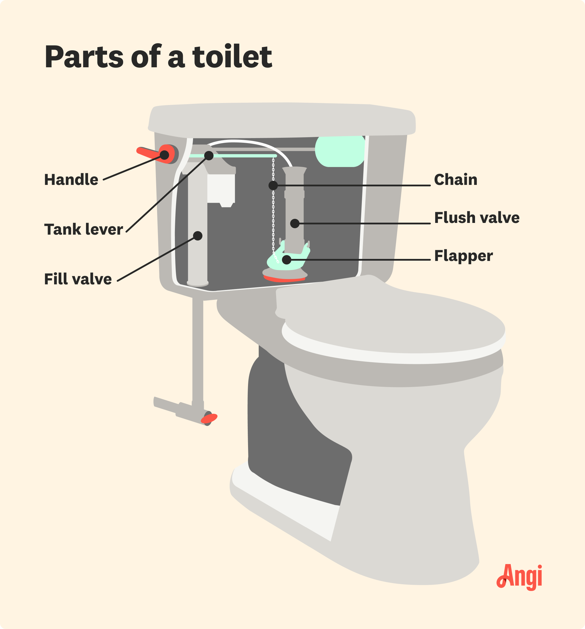 6 toilet parts illustrated, including the tank lever, chain, and flapper