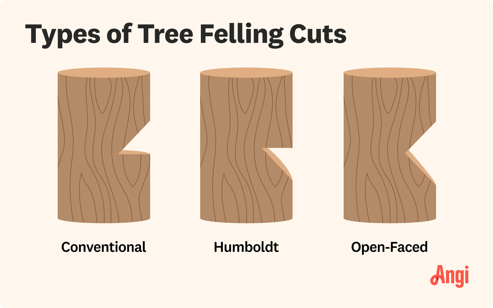 3 tree felling cut types illustrated, including conventional, humboldt, and open-faced