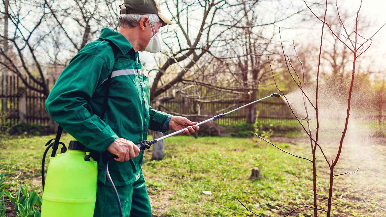 Arborist spraying pesticide on the trees