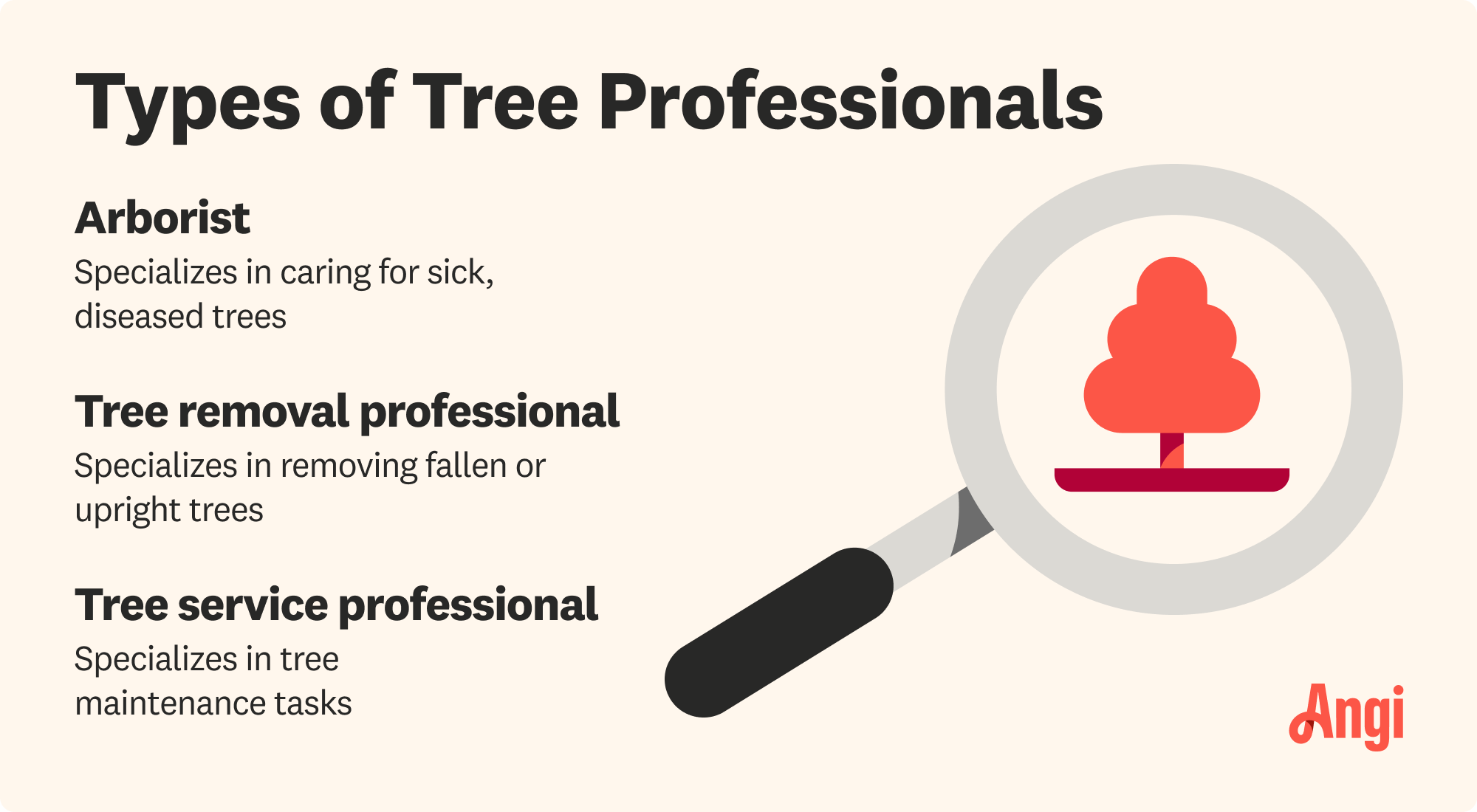 3 tree professional types, including arborist and tree removal professional