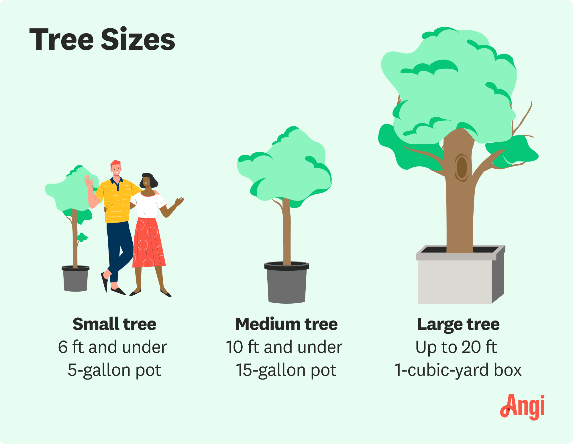Tree size comparison illustrated, including small, medium, and large trees