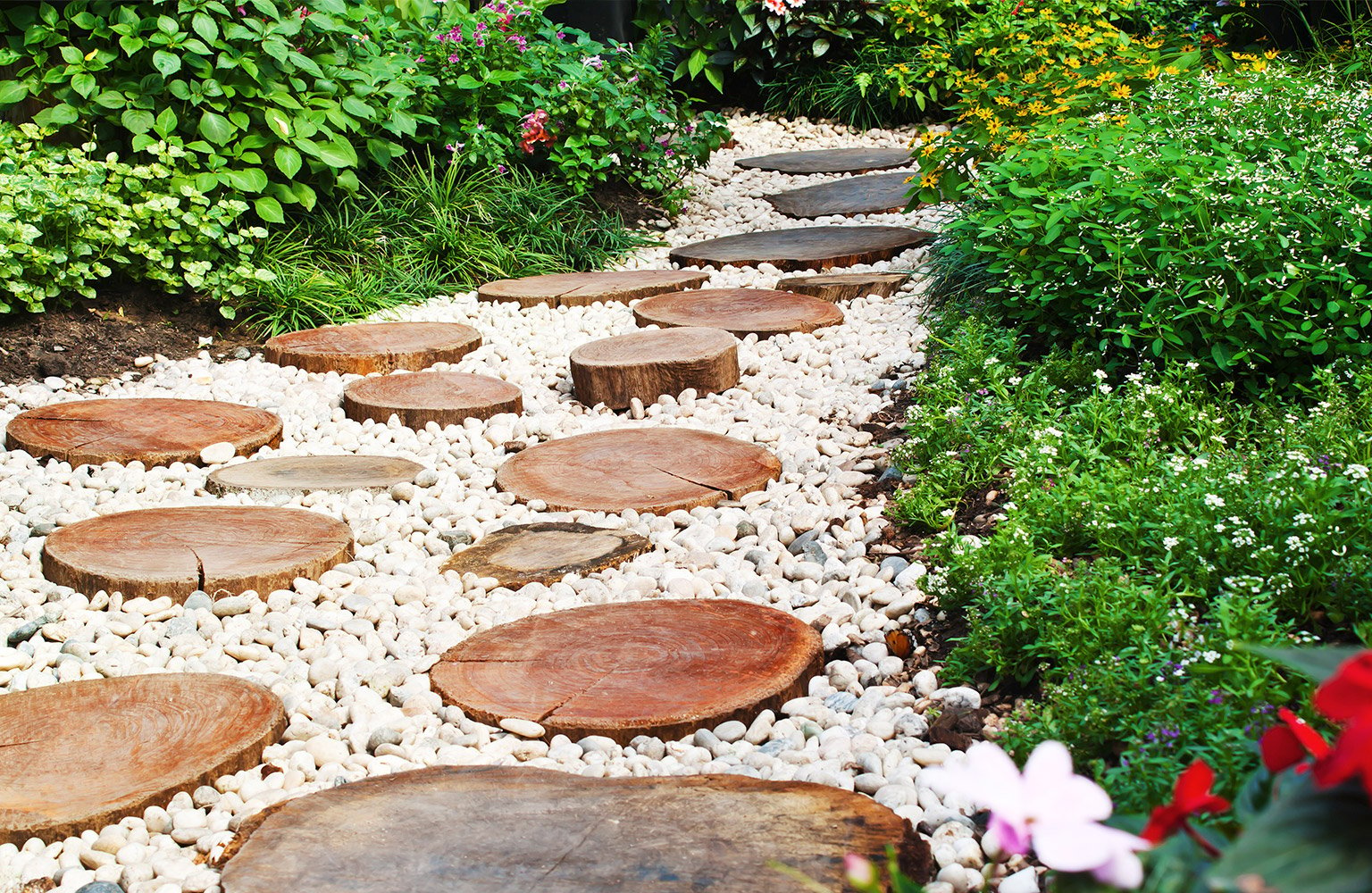 tree stumps and logs walkway