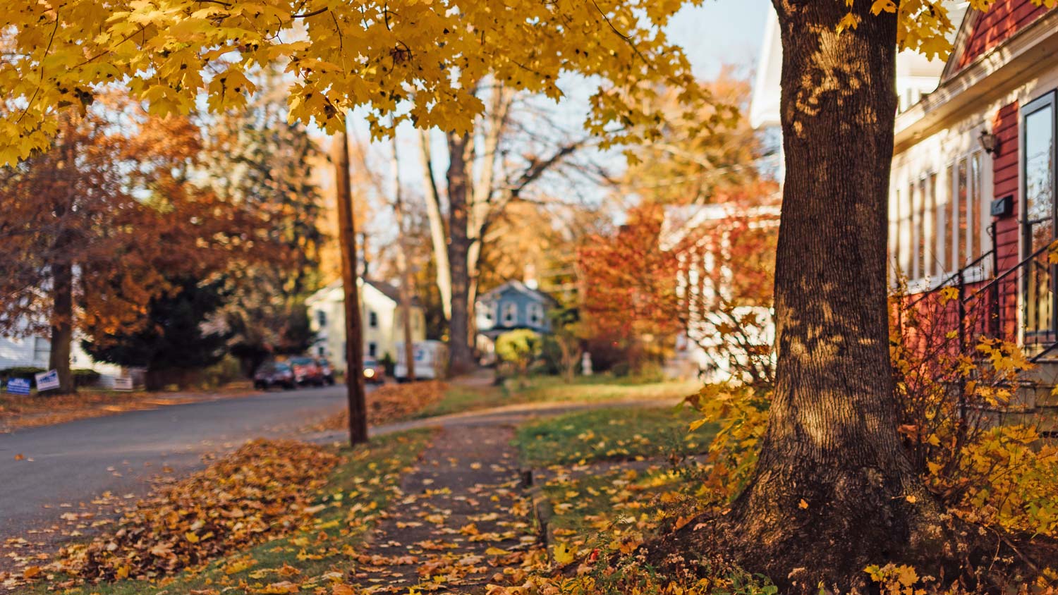 Neighborhood street in the fall.