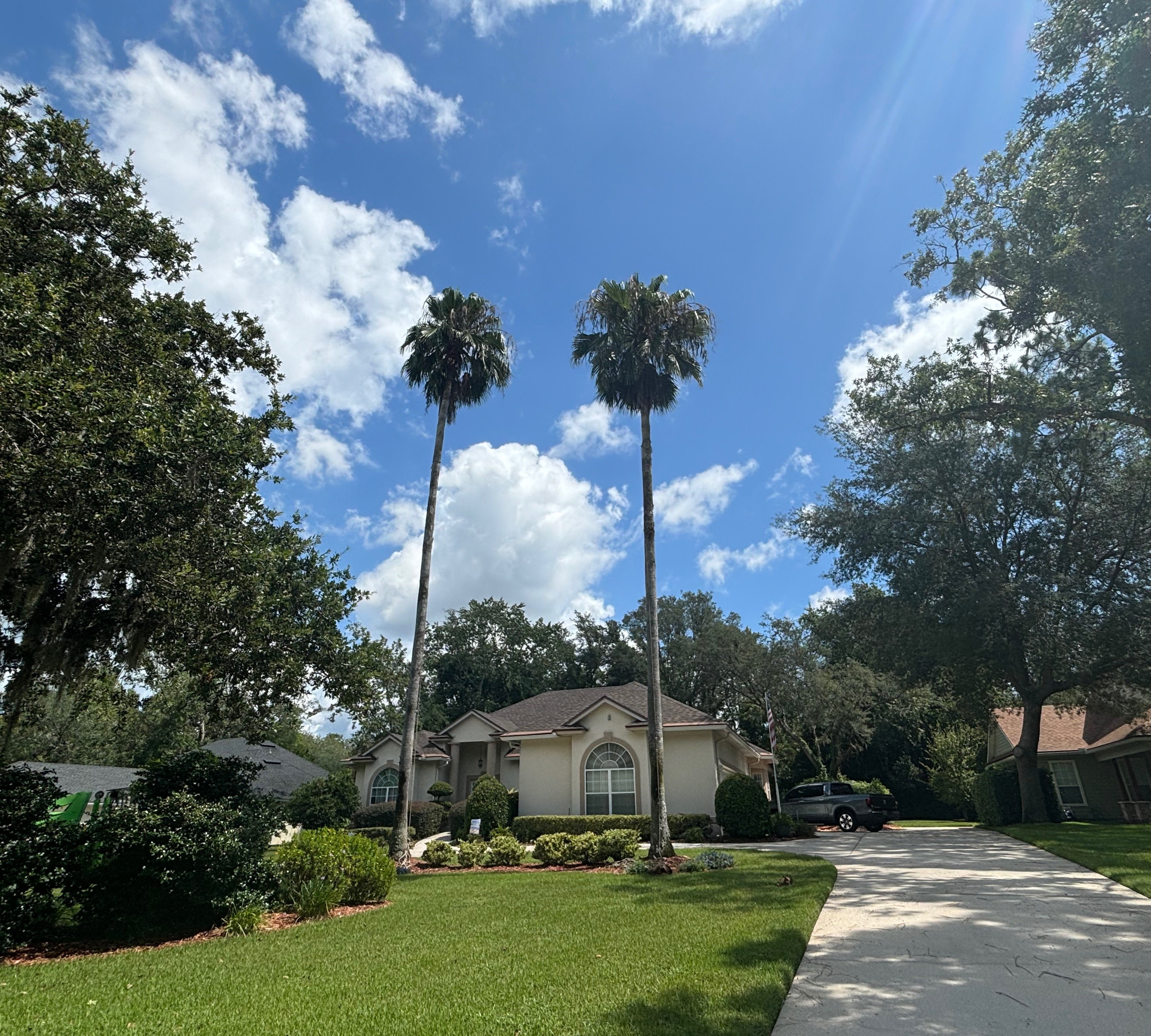 Two palm trees in front of house
