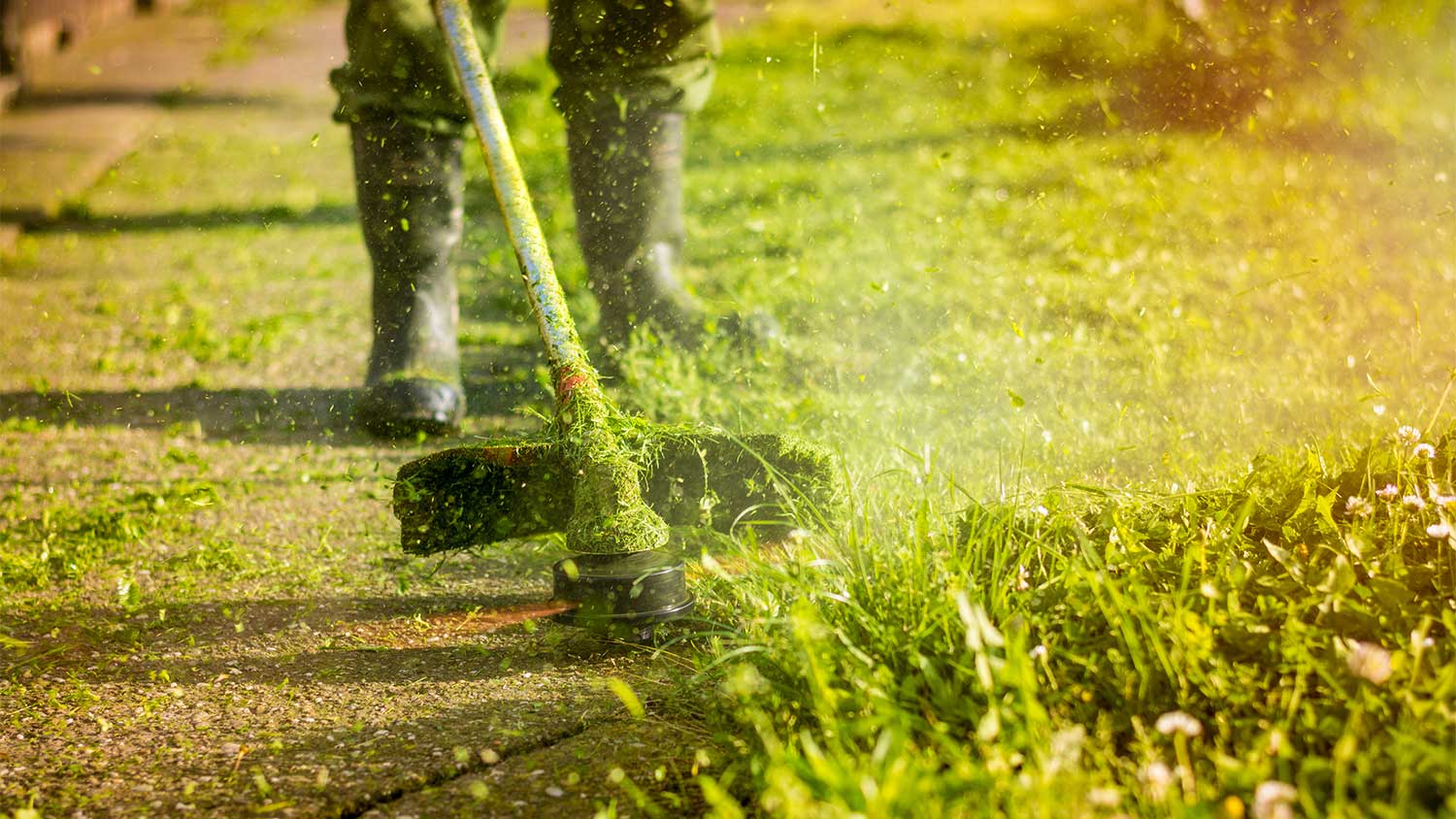 closeup of a person trimming the grass in the yard 