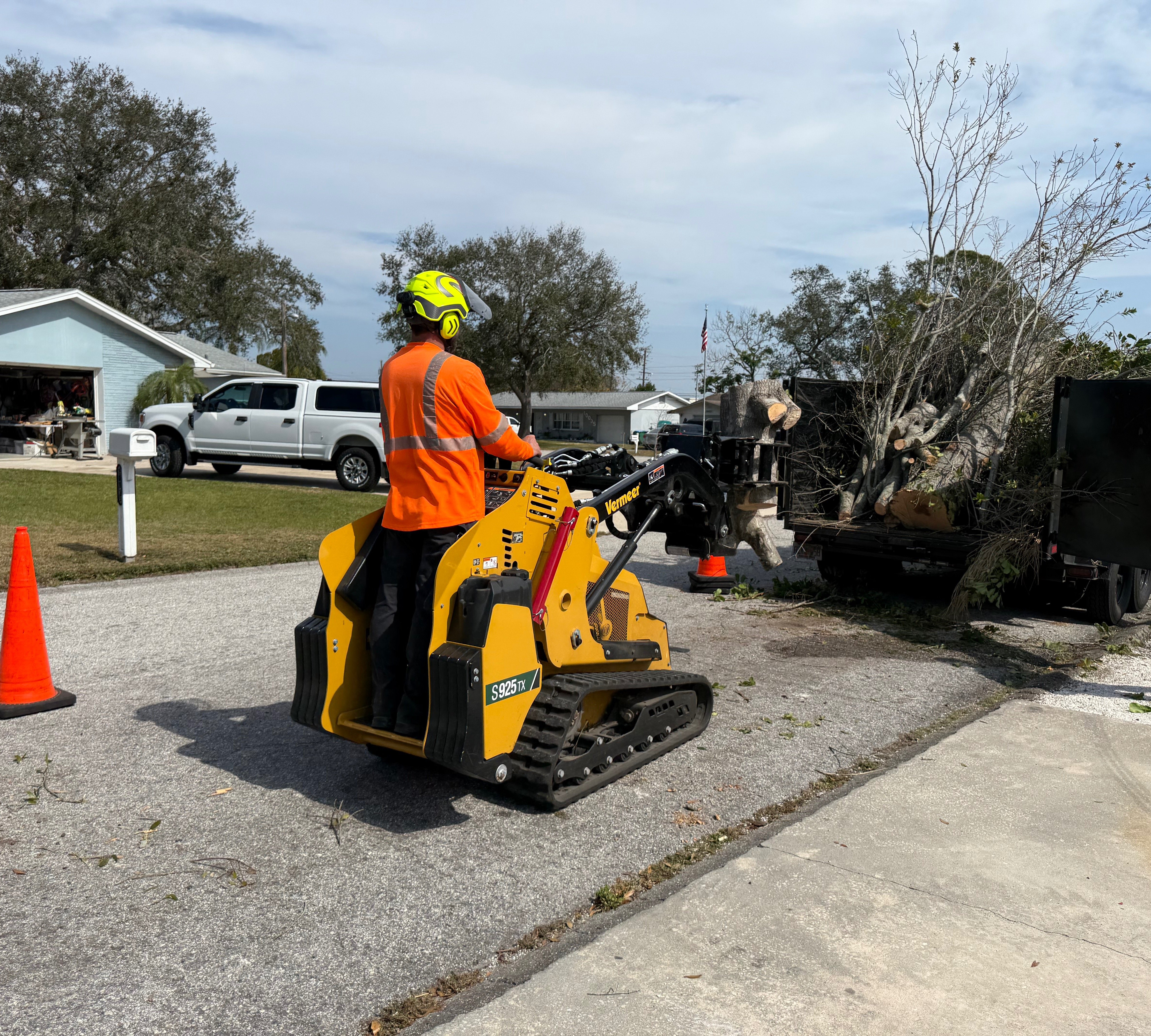 Pro removing tree debris 