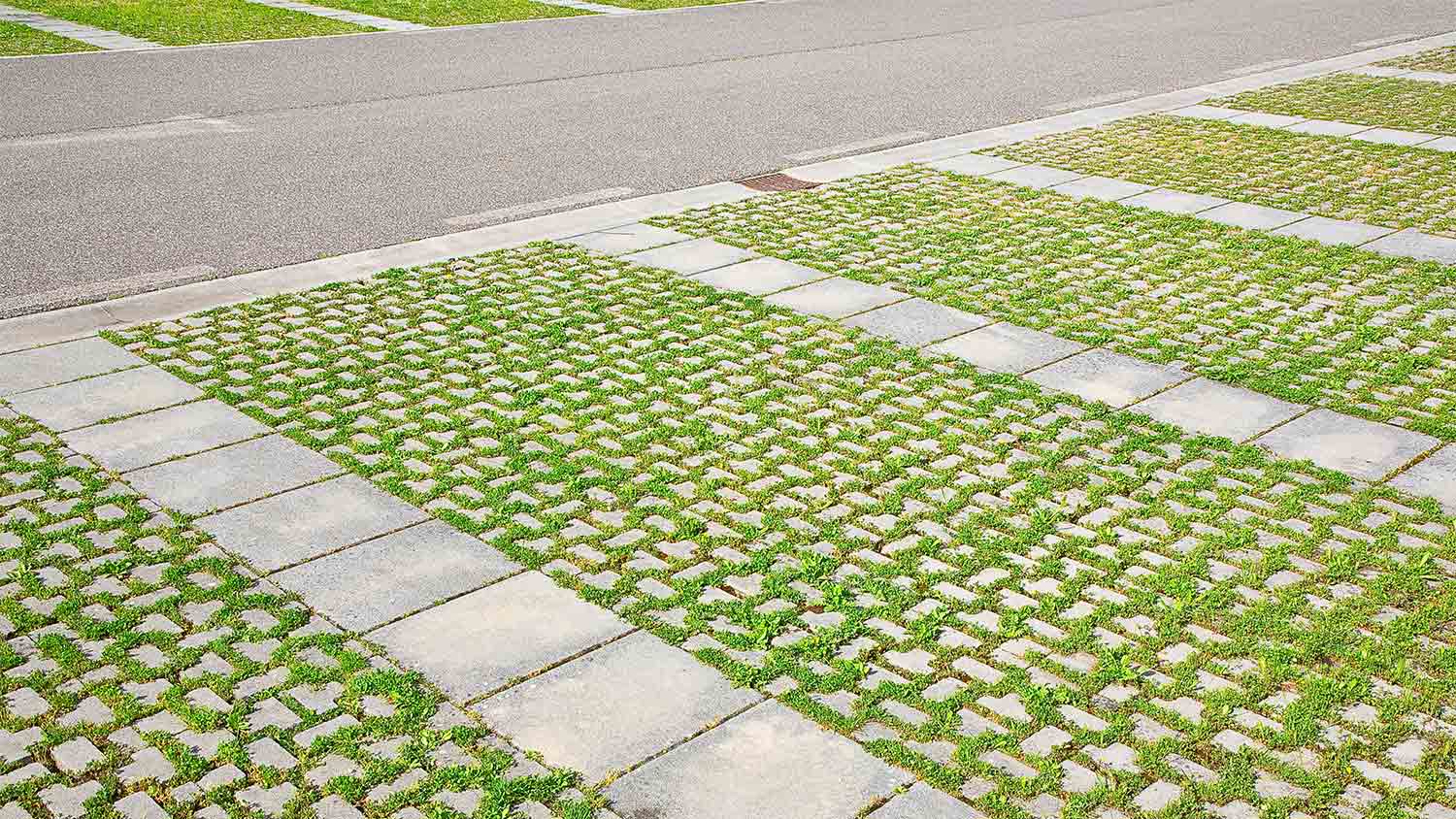 concrete with turf grass driveway