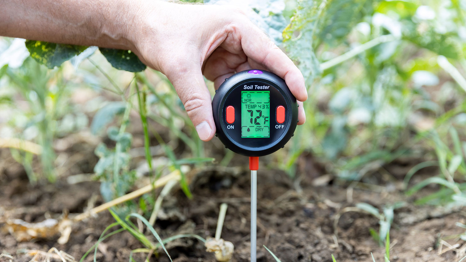 Measuring soil temperature and moisture
