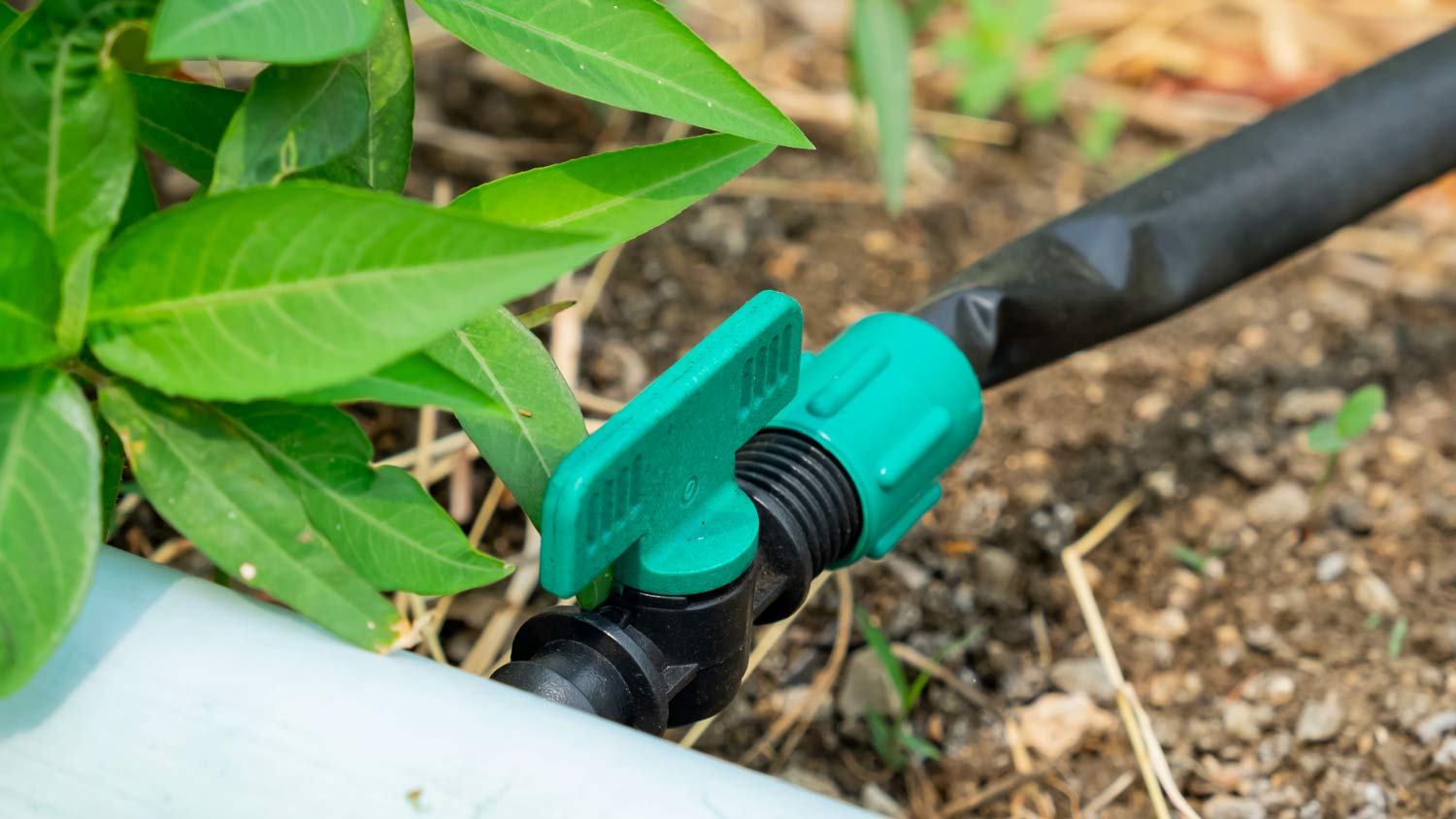 valve for watering system
