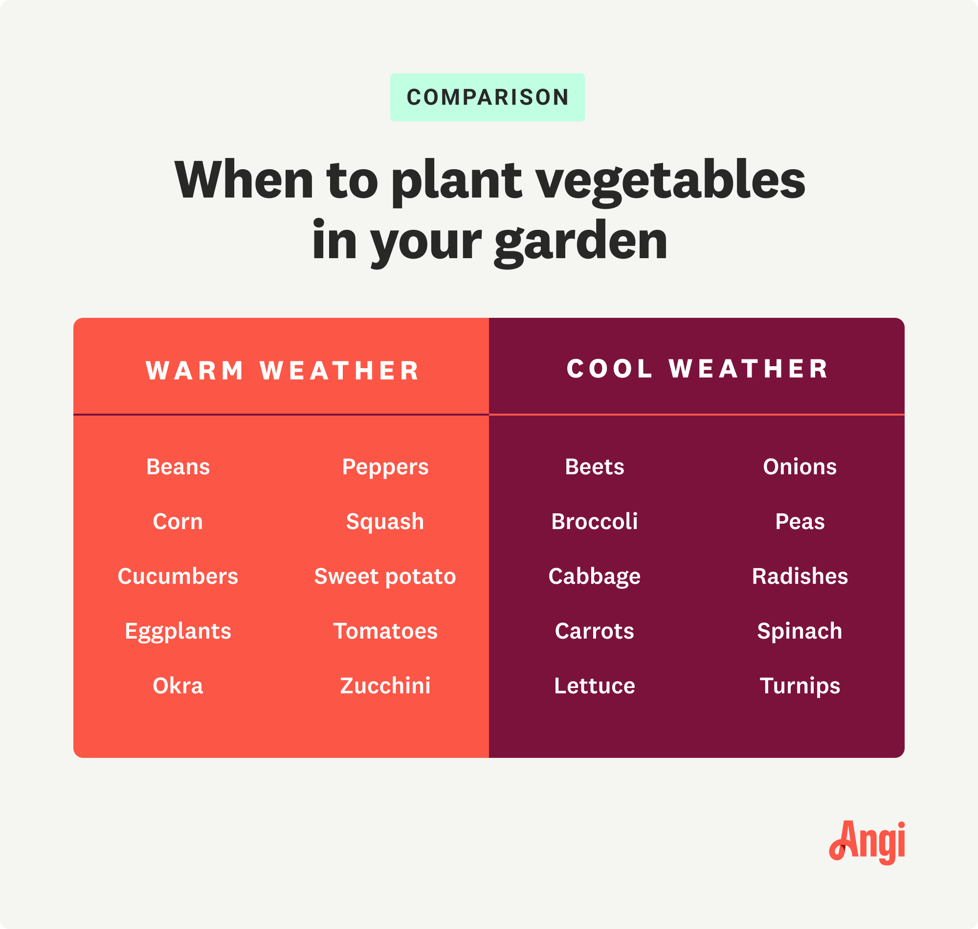 Comparison of when to plant vegetables in your garden, with cool weather crops listed including broccoli, cabbage, and radishes