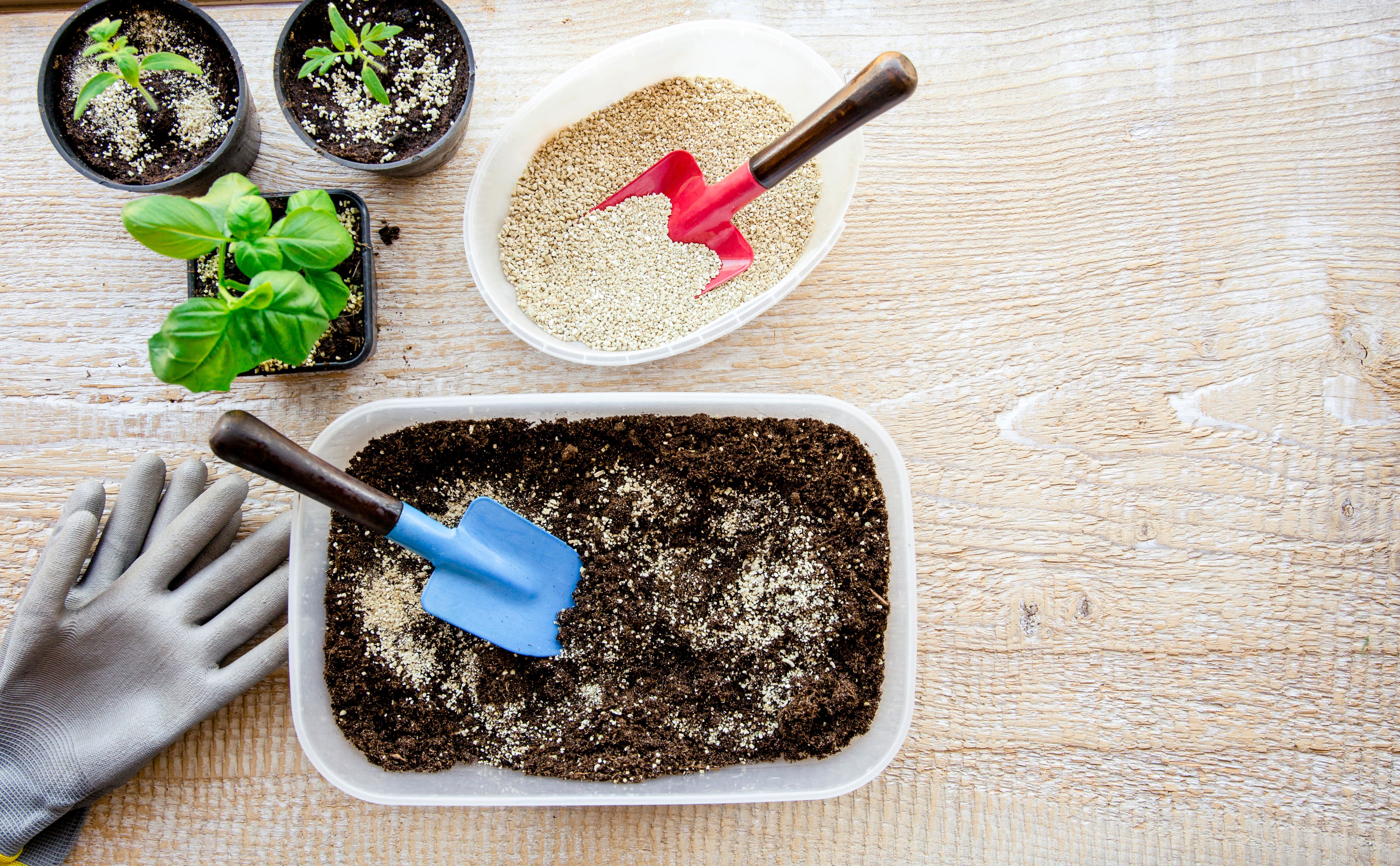 Vermiculite vs. Perlite Which Is Better for Your Plants?