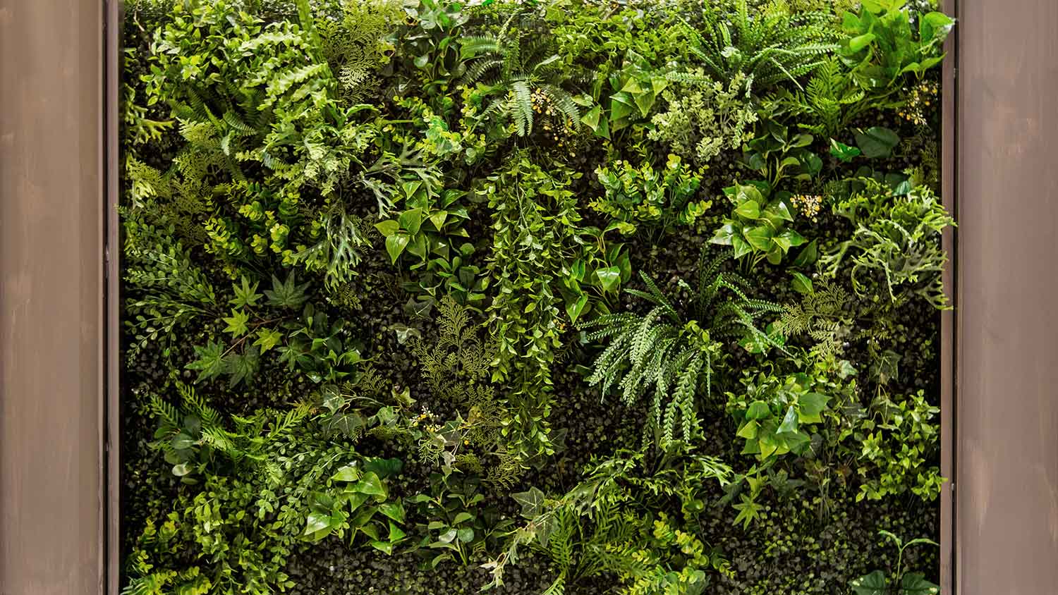 Closeup of a vertical garden