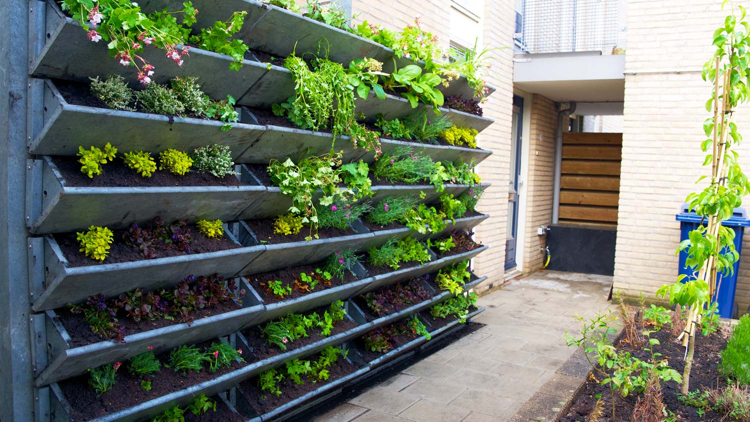 Green plants in a vertical wall garden in spring