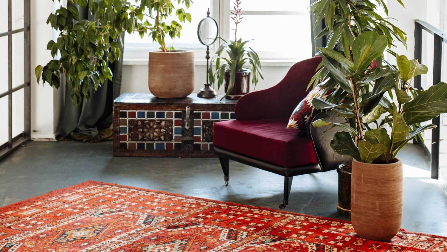 Boho and modern style room with a vintage rug and house plants