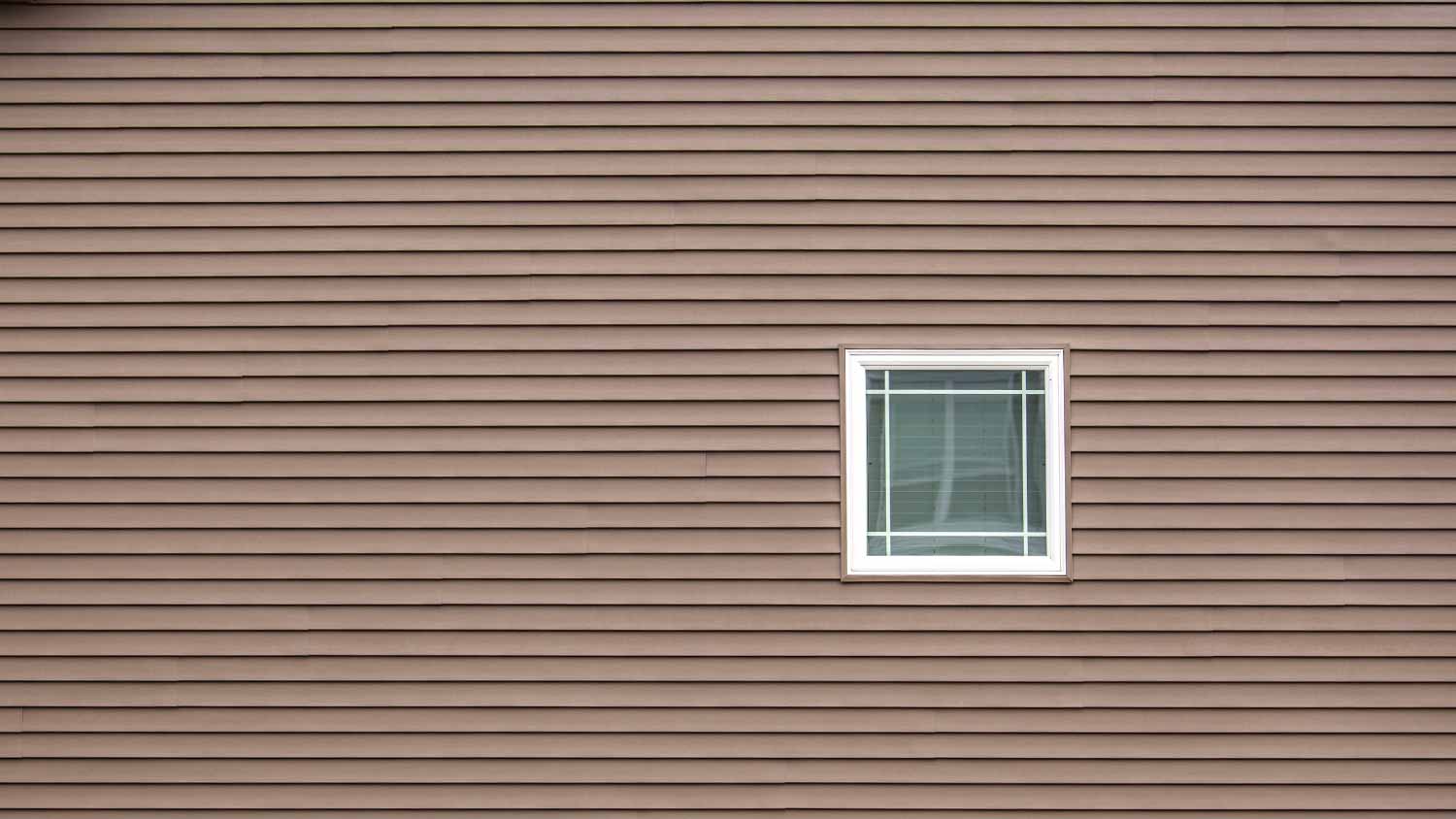 Vinyl siding with window