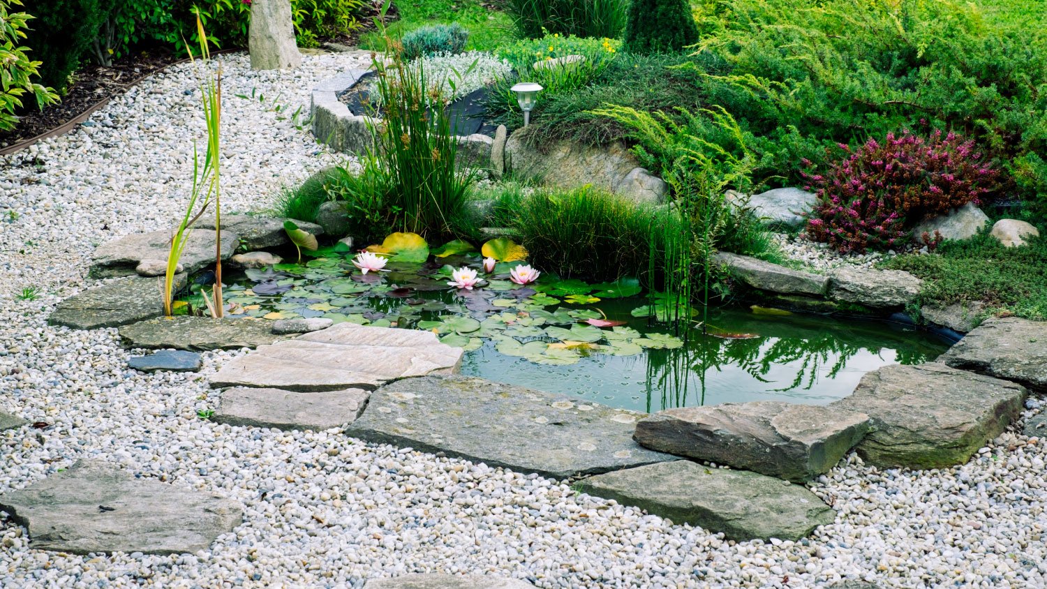 water pond