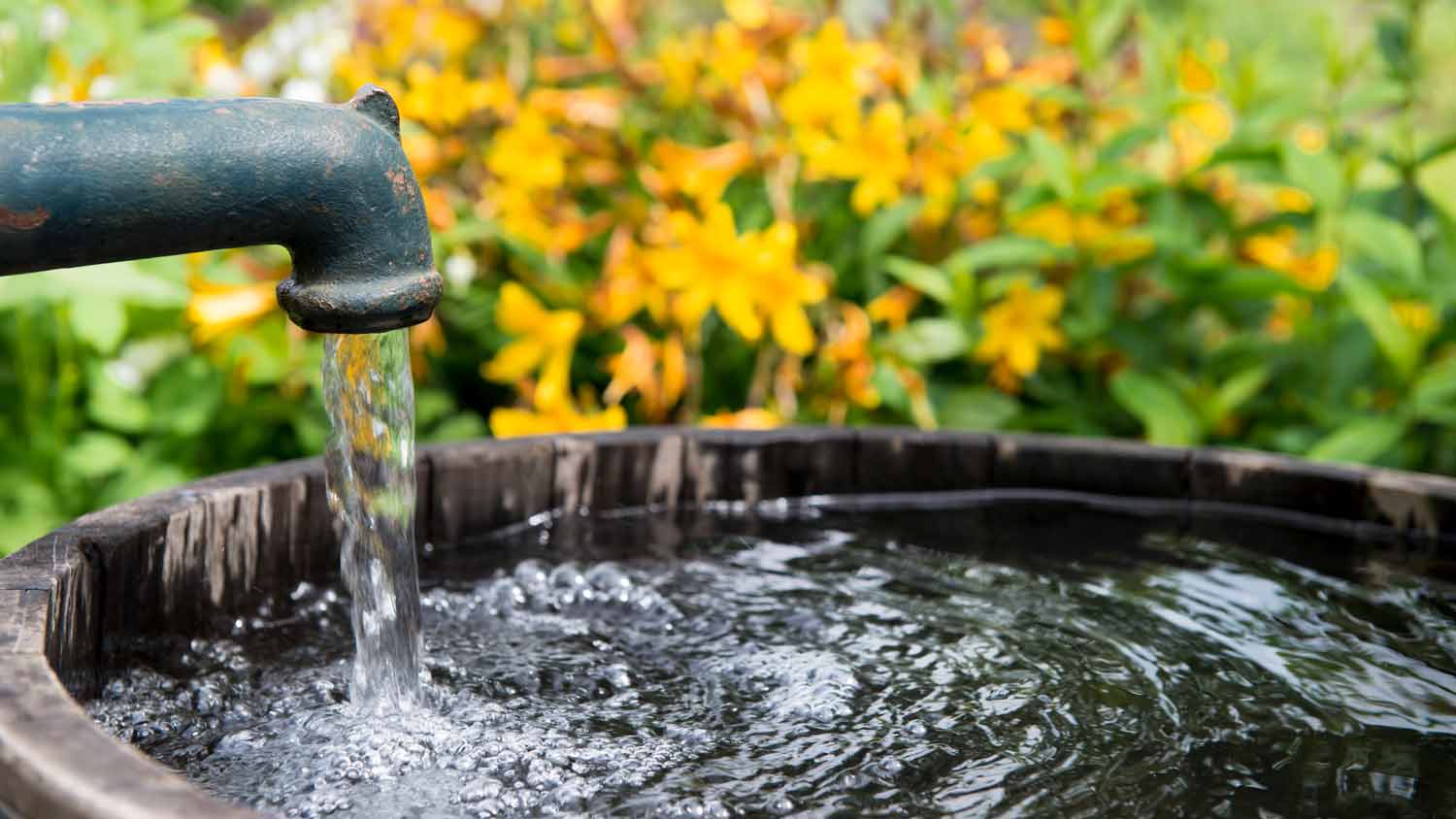 water pump in garden