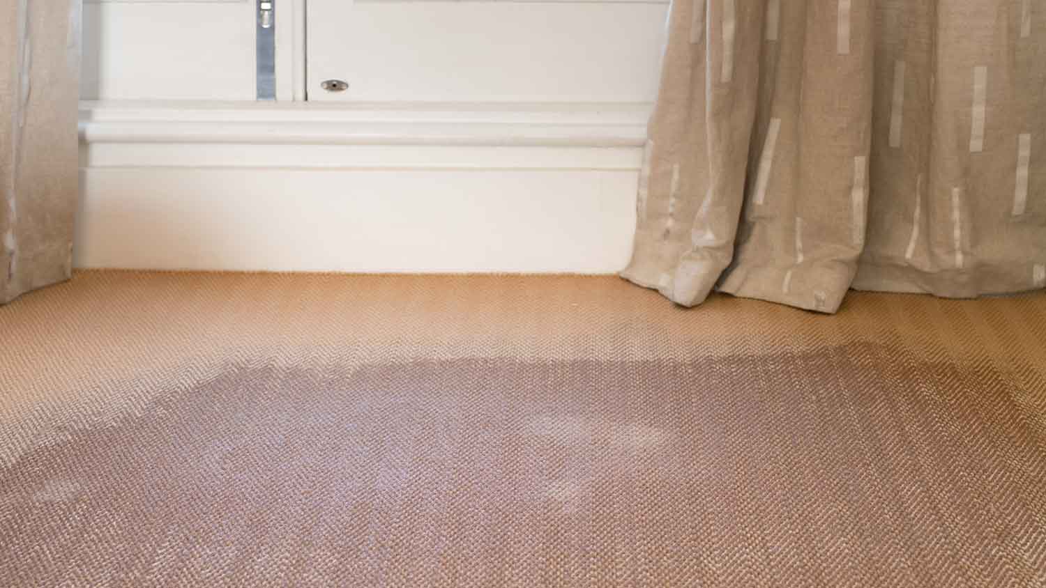 Living room with water damaged carpet