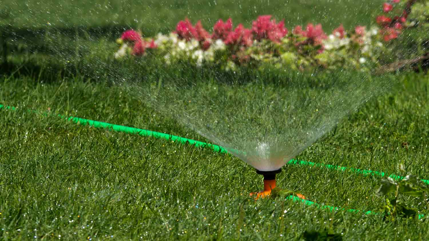 water sprinkler in flower garden