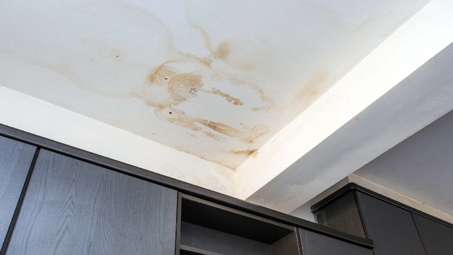 Water stains on the ceiling