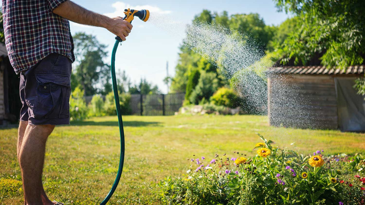 Man in the backyard watering plants with hose