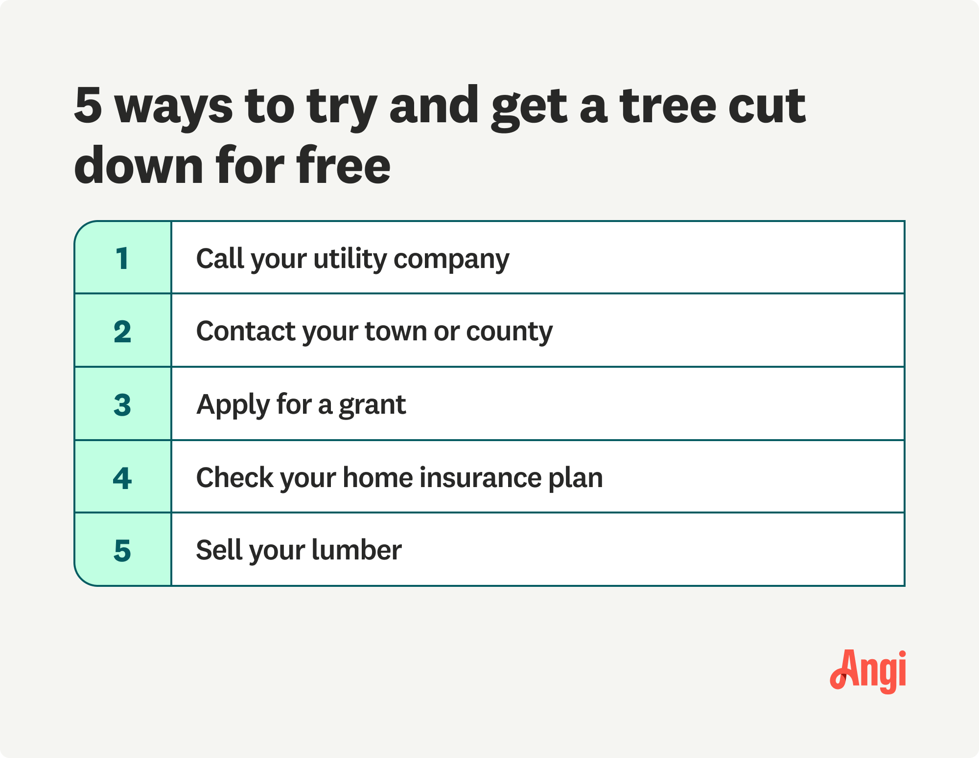 5 ways to get a tree cut down for free, including contacting your town or county
