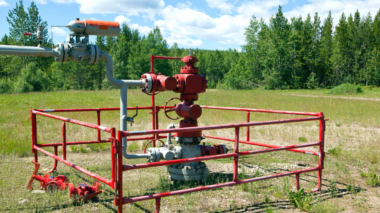 A well head system