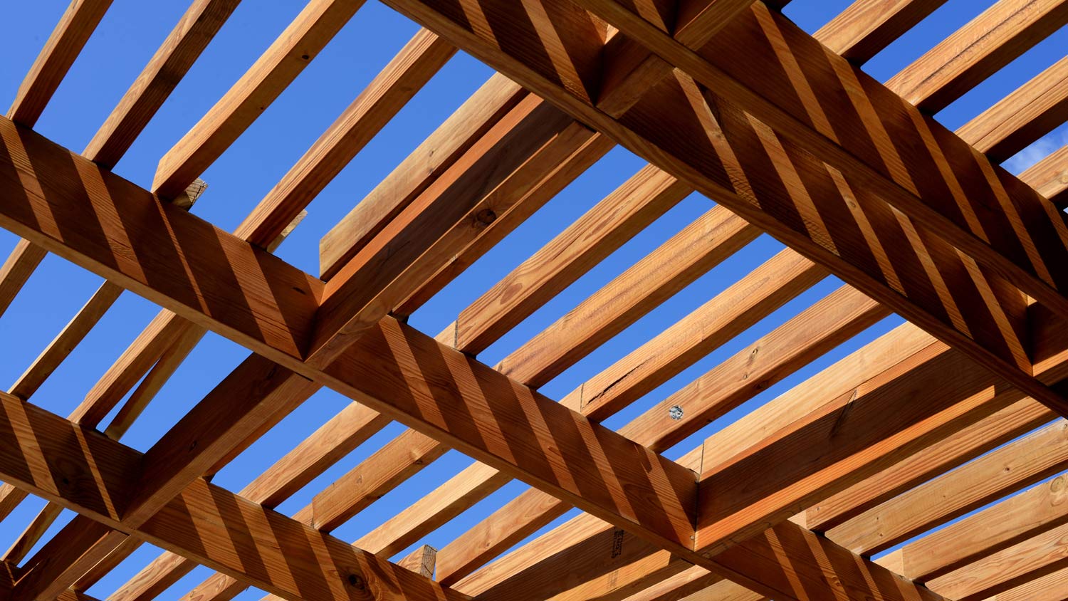 wooden pergola in the sun with blue sky