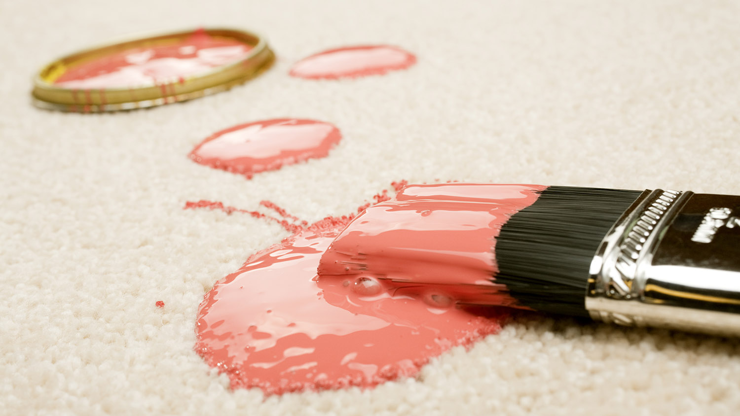 How to Get Paint Out of Carpet Quickly and Easily