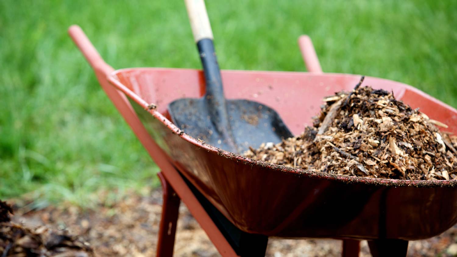 A wheel barrow with a shovel and mulch