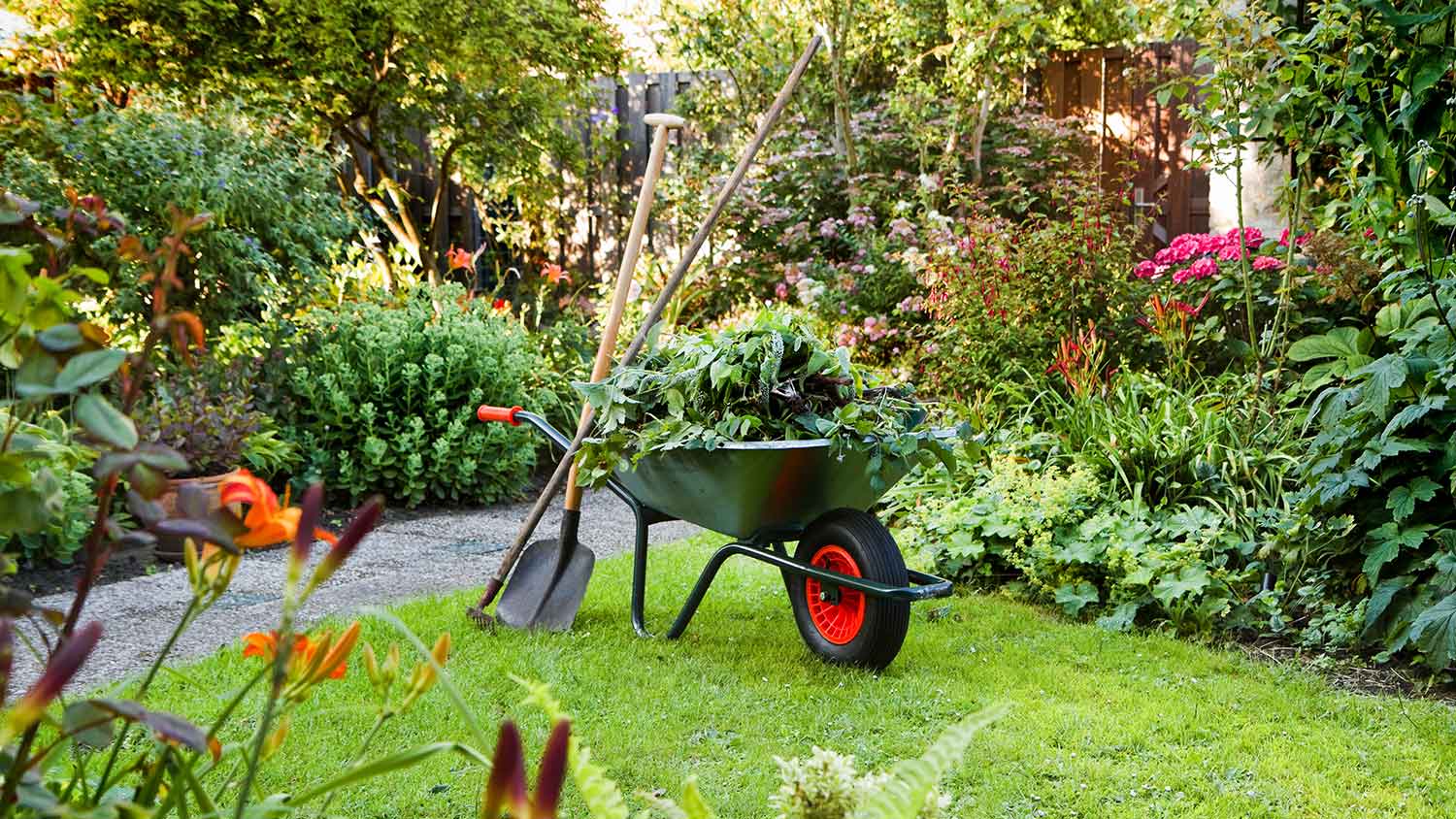 Green wheelbarrow full of weeds in the yard