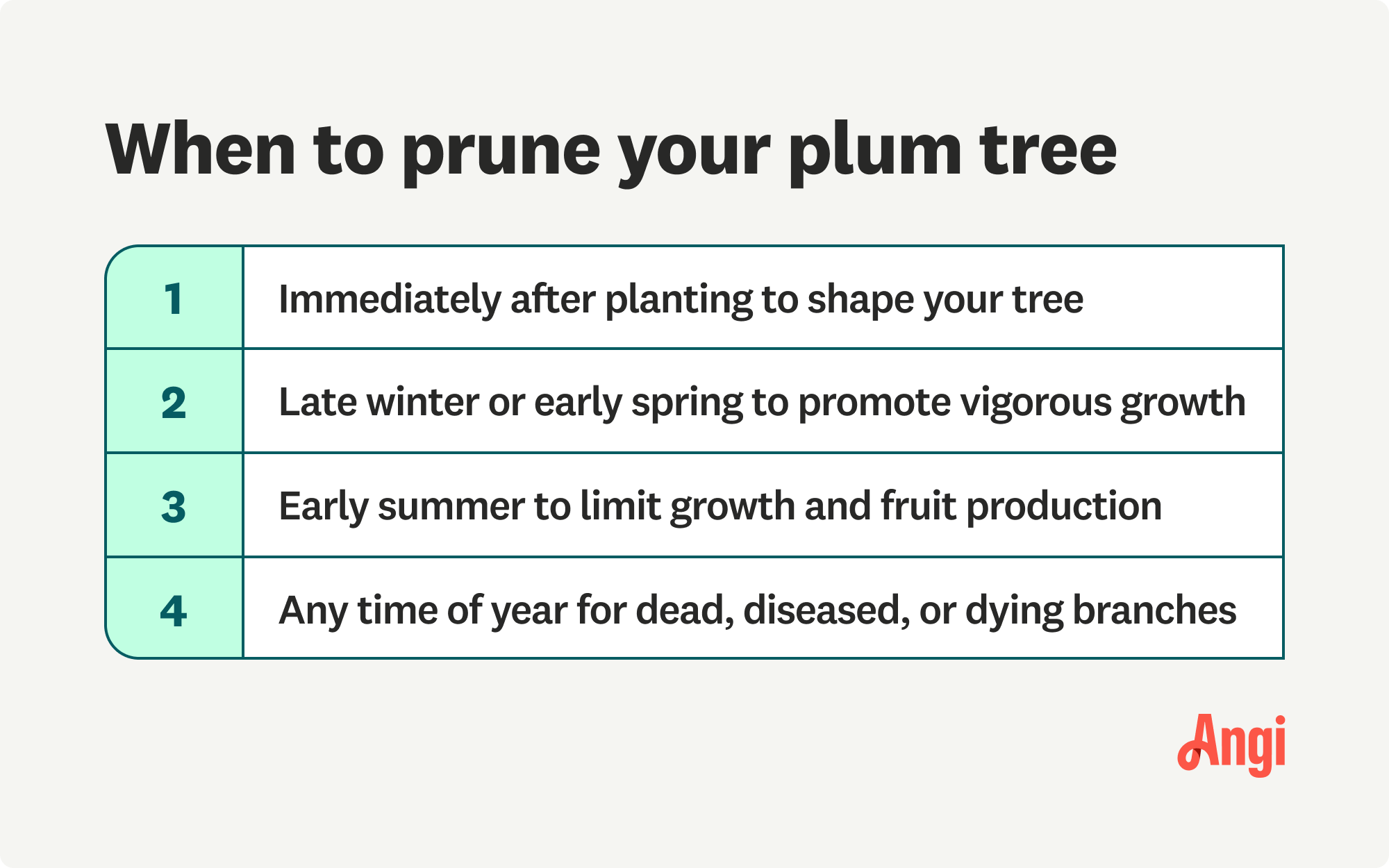 4 times to prune your plum trees, including early summer to limit growth and fruit production