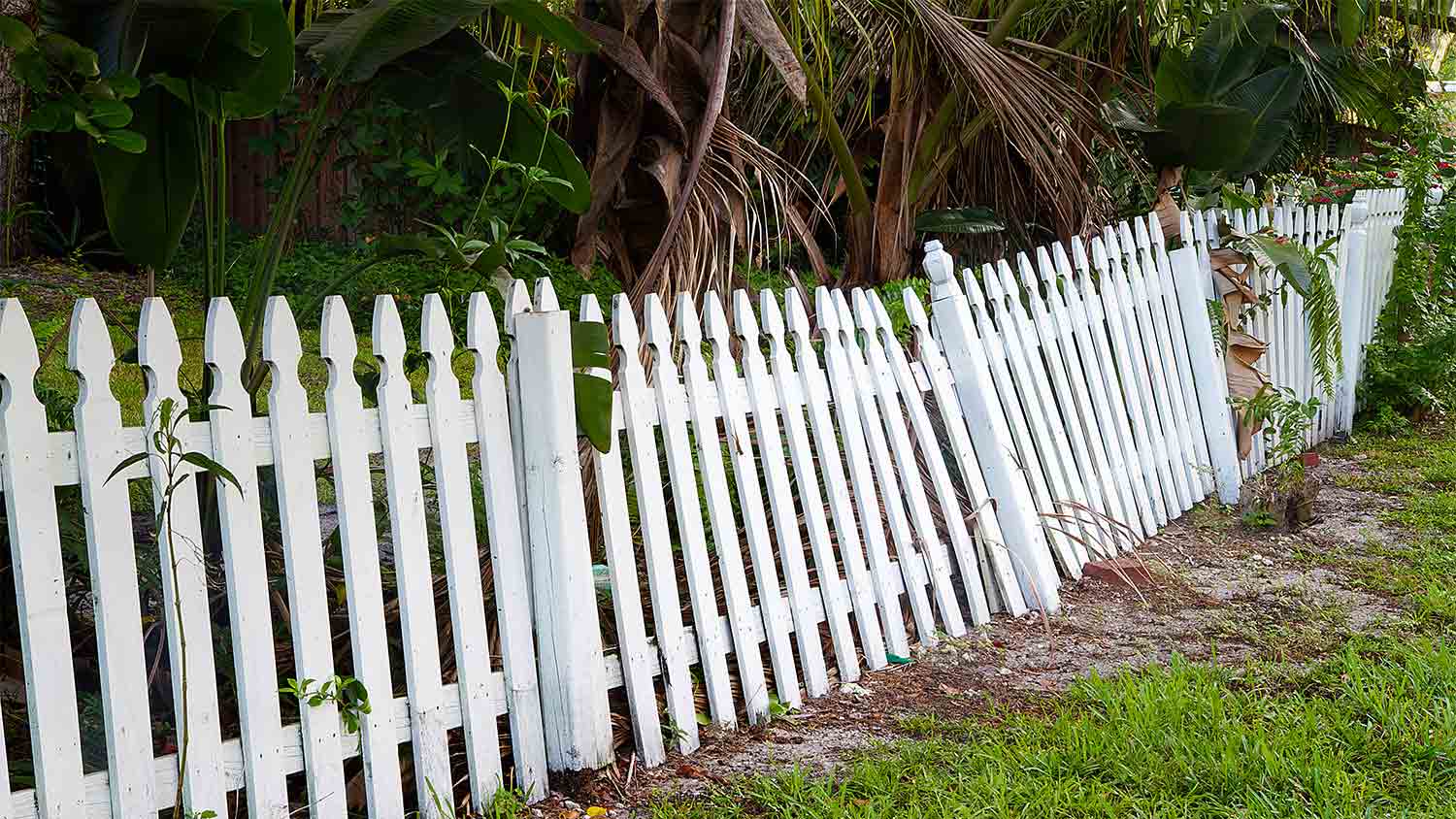 broken white fence in yard 