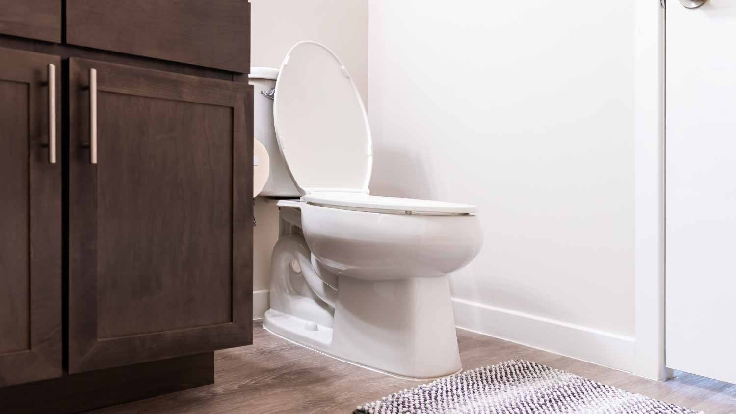 White toilet with rug and door cabinets