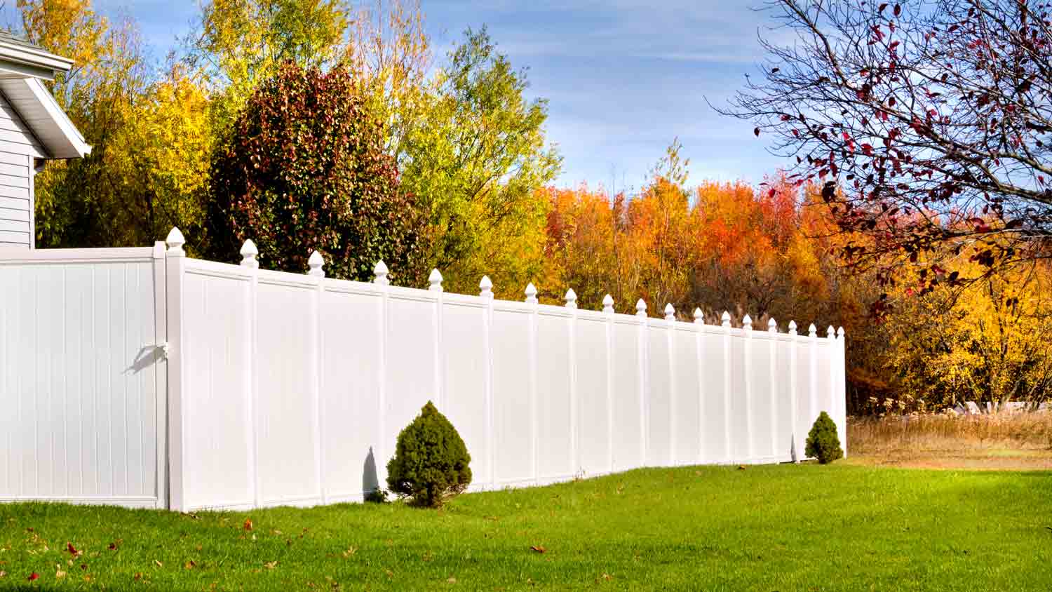 tall vinyl fence surrounding home