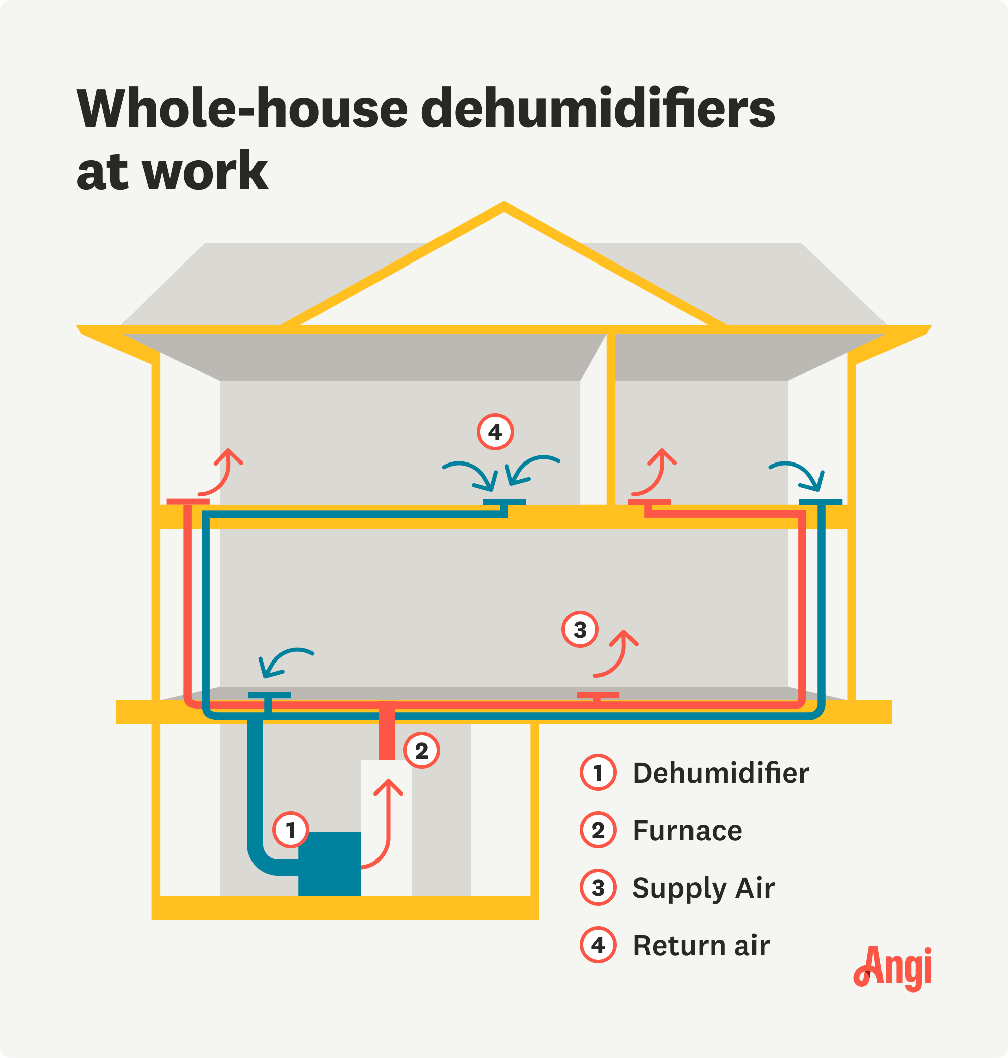 Whole-house dehumidifier and how they work illustrated