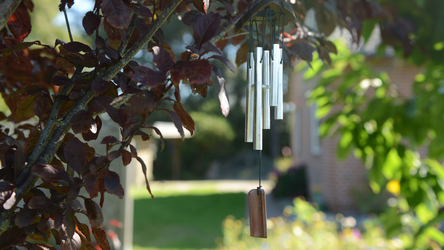 Wind chimes hanging from a tree in a garden