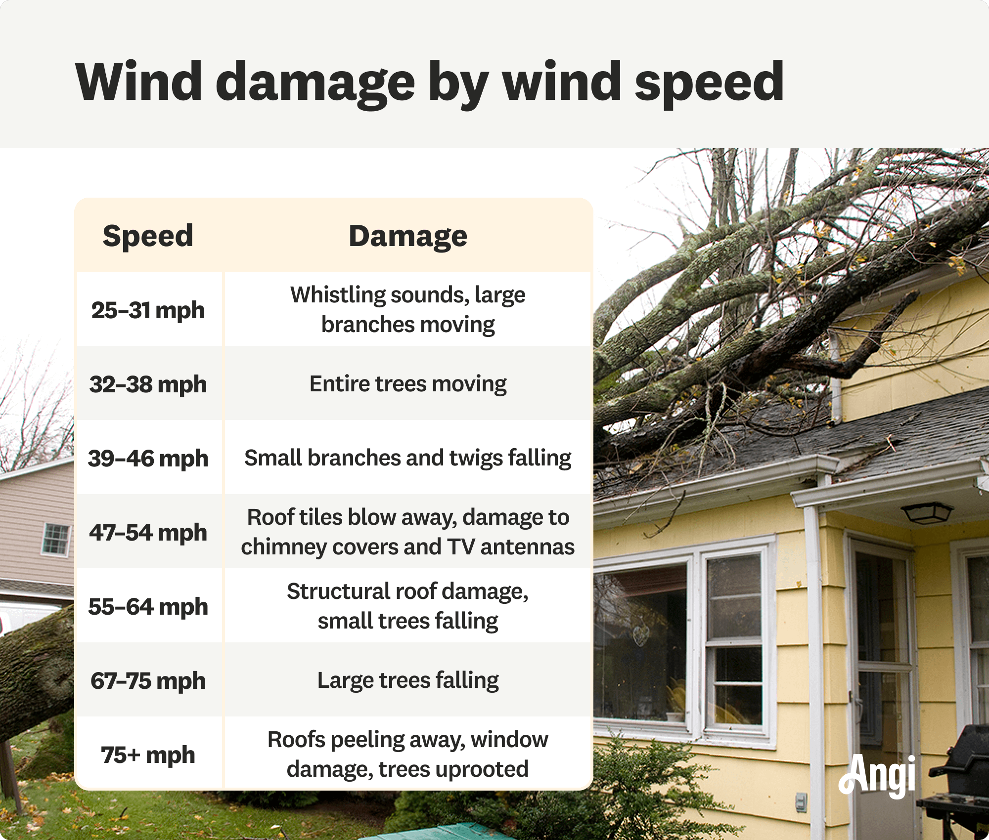 7 wind speed ranges compared by damage they can cause, with 39 to 46 mile per hour winds causing small branches and twigs to fall