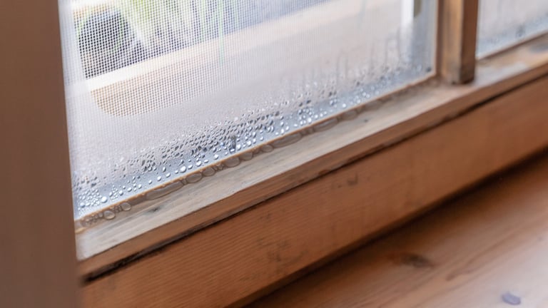 Window with condensation