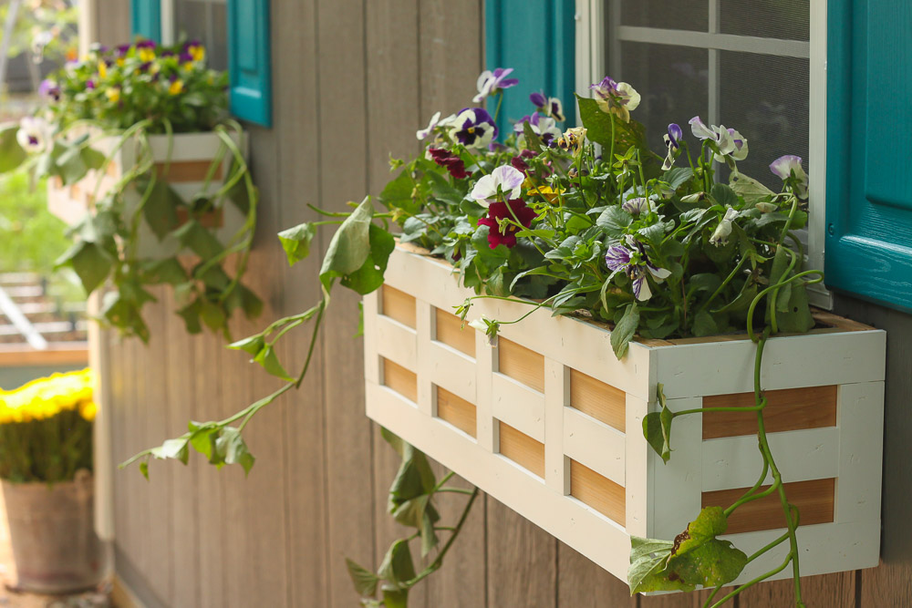 window boxes with flowers in them on side of house