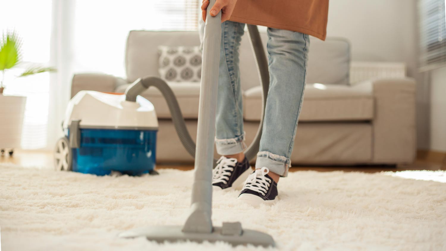 Clean Carpet Along Baseboards
