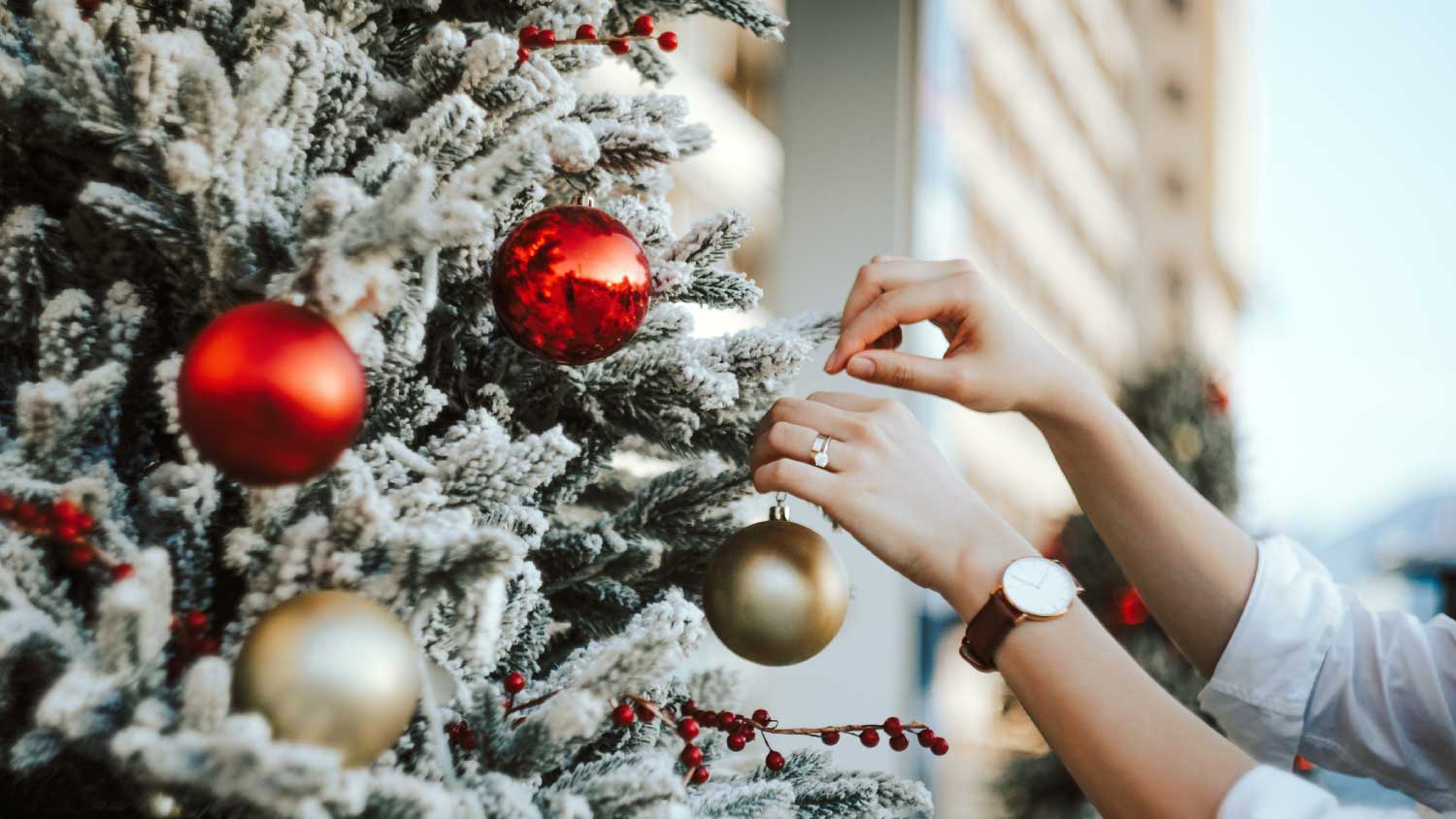 Woman decorating and hanging baubles