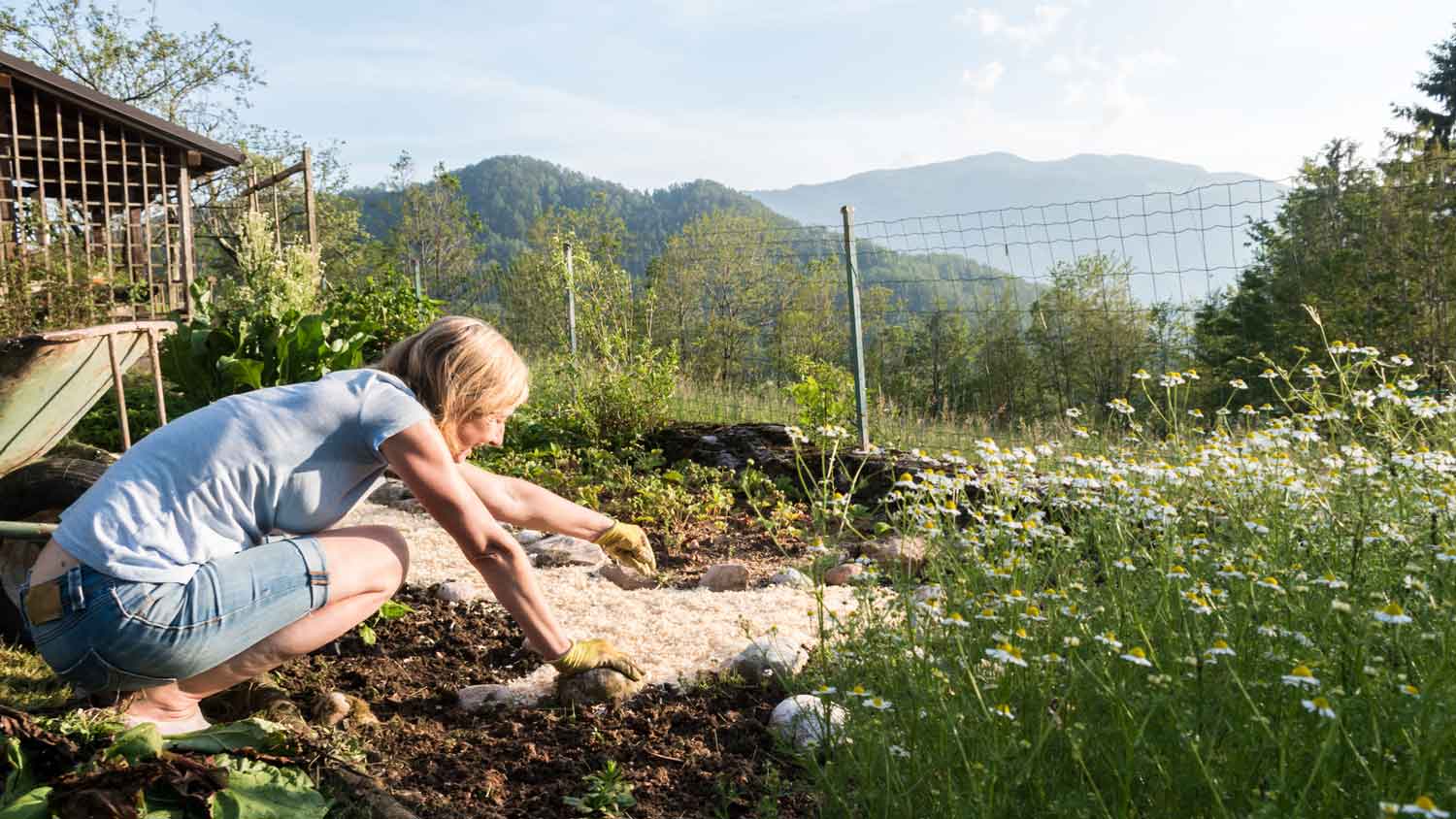 A woman disposing rocks from her yard