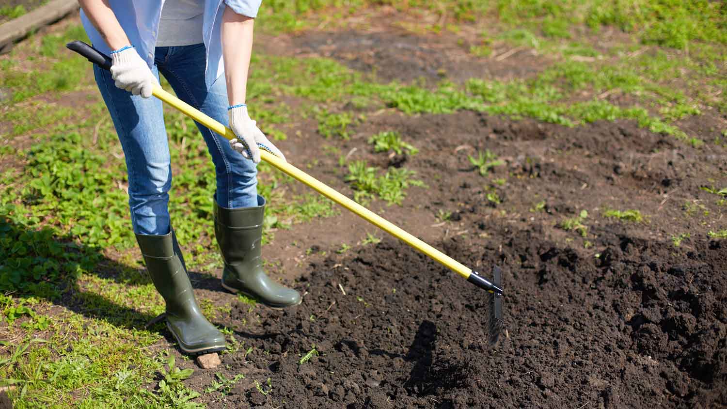 Woman using a rake to level the soil in the yard