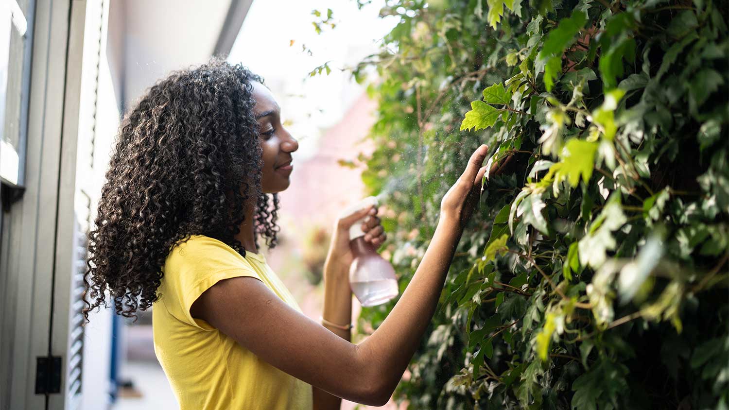 A woman mists a vertical garden