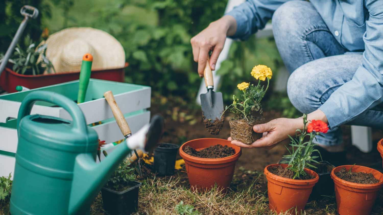 woman potting flowers