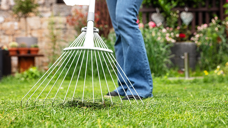 A woman raking the lawn