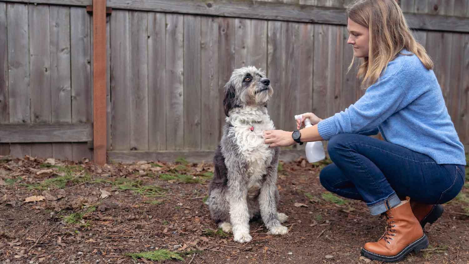 A woman spraying her dog