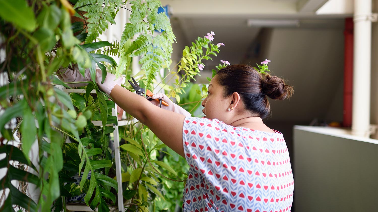 A woman taking care of her vertical garden