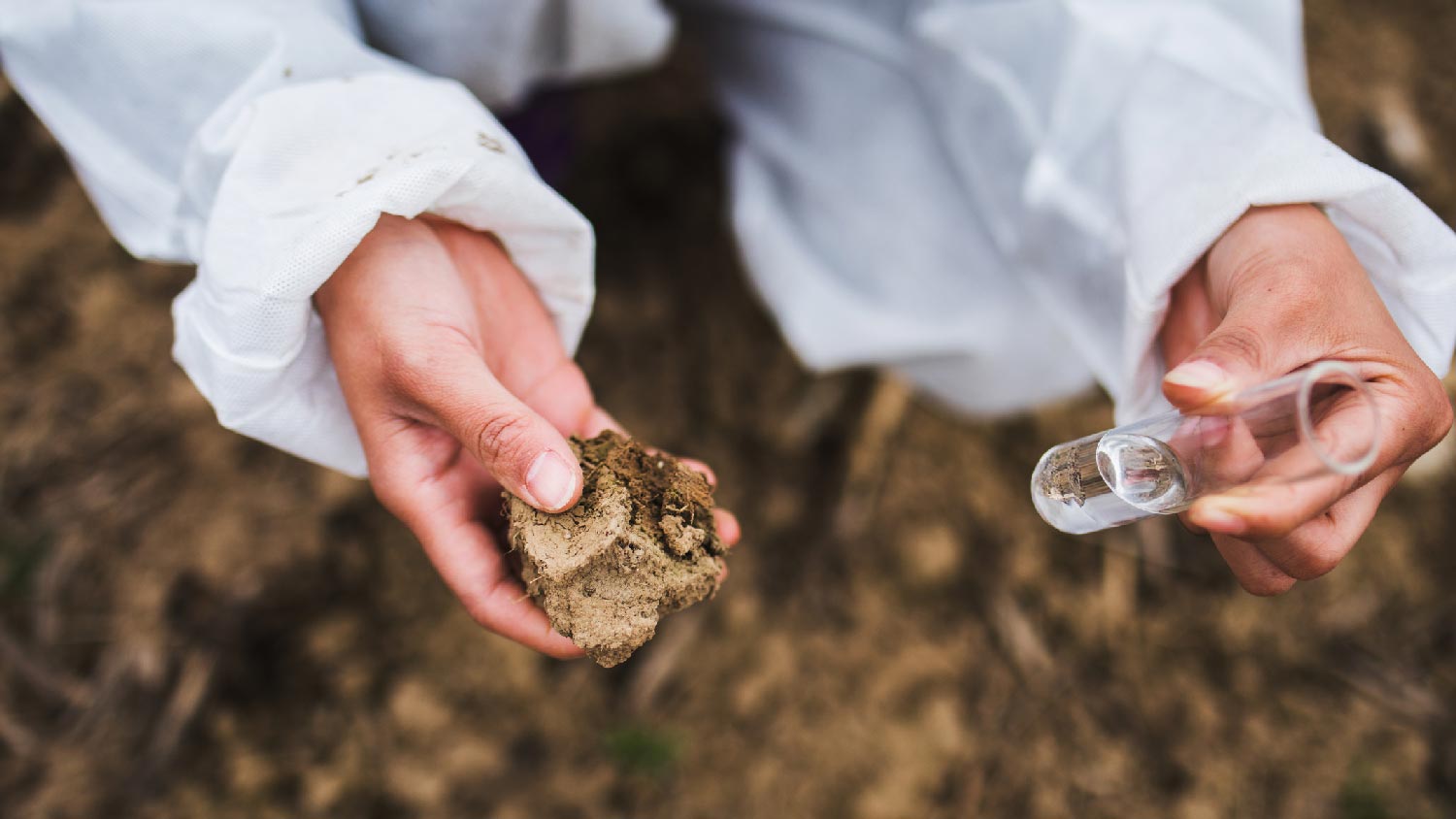 A woman testing the perc rate of the soil